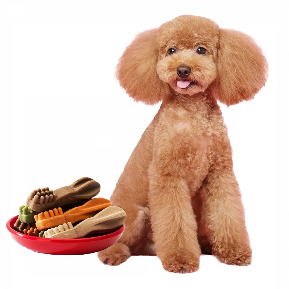 Dental Care Dog Treats – Chicken Flavor