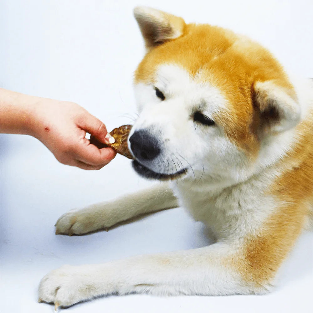 Dog Steak Treats