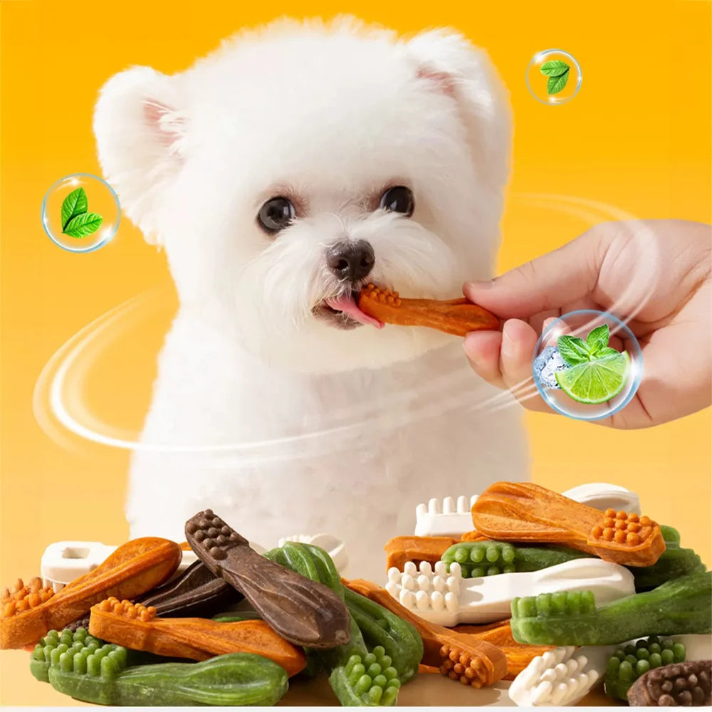 Dental Care Dog Treats – Chicken Flavor