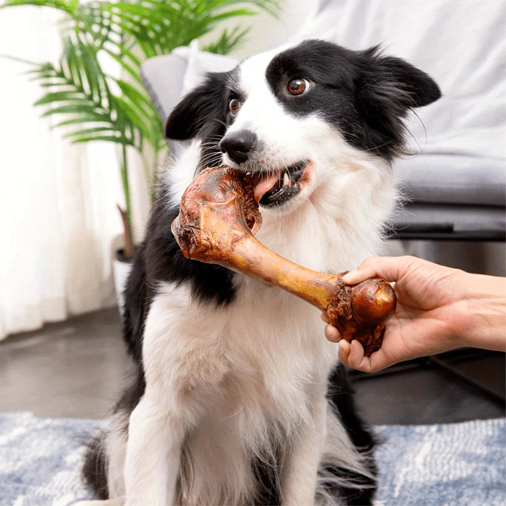 Middle Large Cow Bone Dog Treats