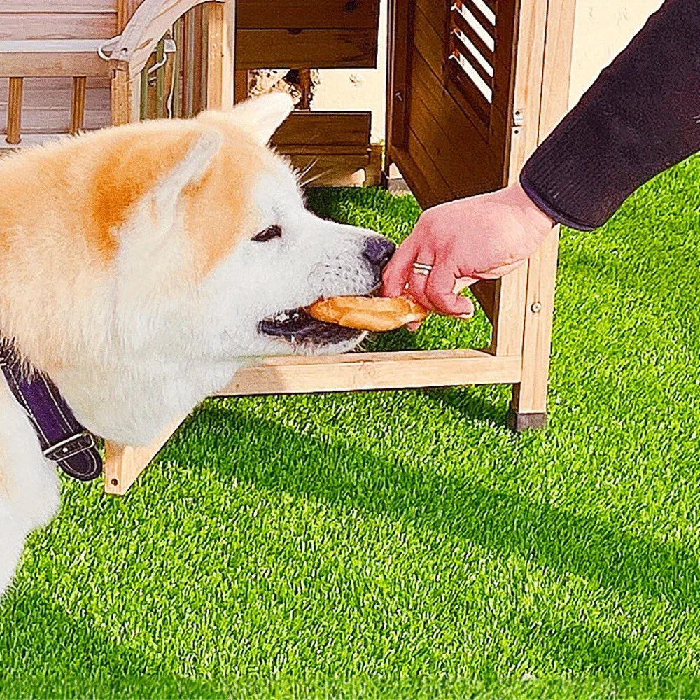 Chicken Wrapped Rawhide Donut Ring Dog Treats